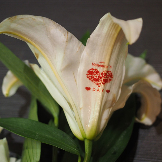 Speaking Flower Printer Speaking Flower Printer