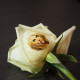 Speaking Flower Printer Speaking Flower Printer