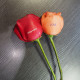 Rose Flower Printer Rose Flower Printer