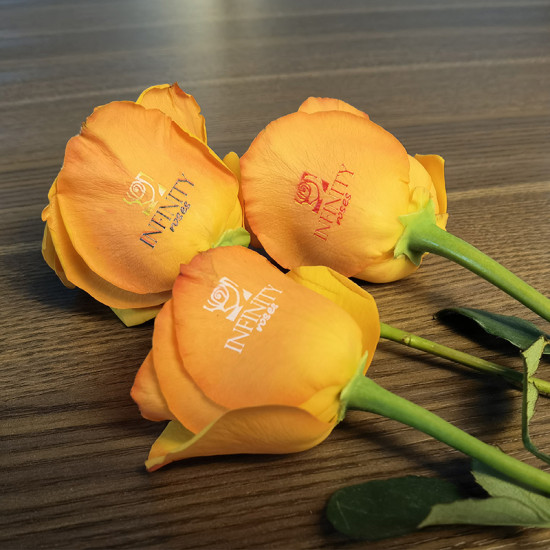 Rose Flower Printer Rose Flower Printer