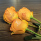 Rose Flower Printer Rose Flower Printer